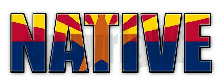 Arizona Native Flag Stickers Flag Decals Vinyl Indoor Outdoor Stickers