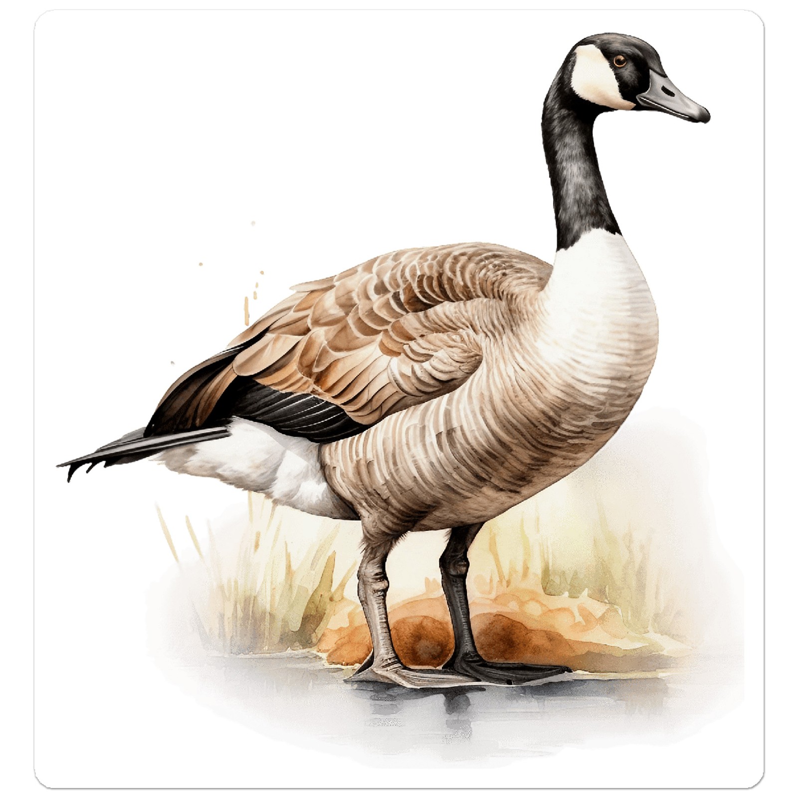 Canada Goose – Vinyl Decal Sticker – Car Window Laptop – ebn9729