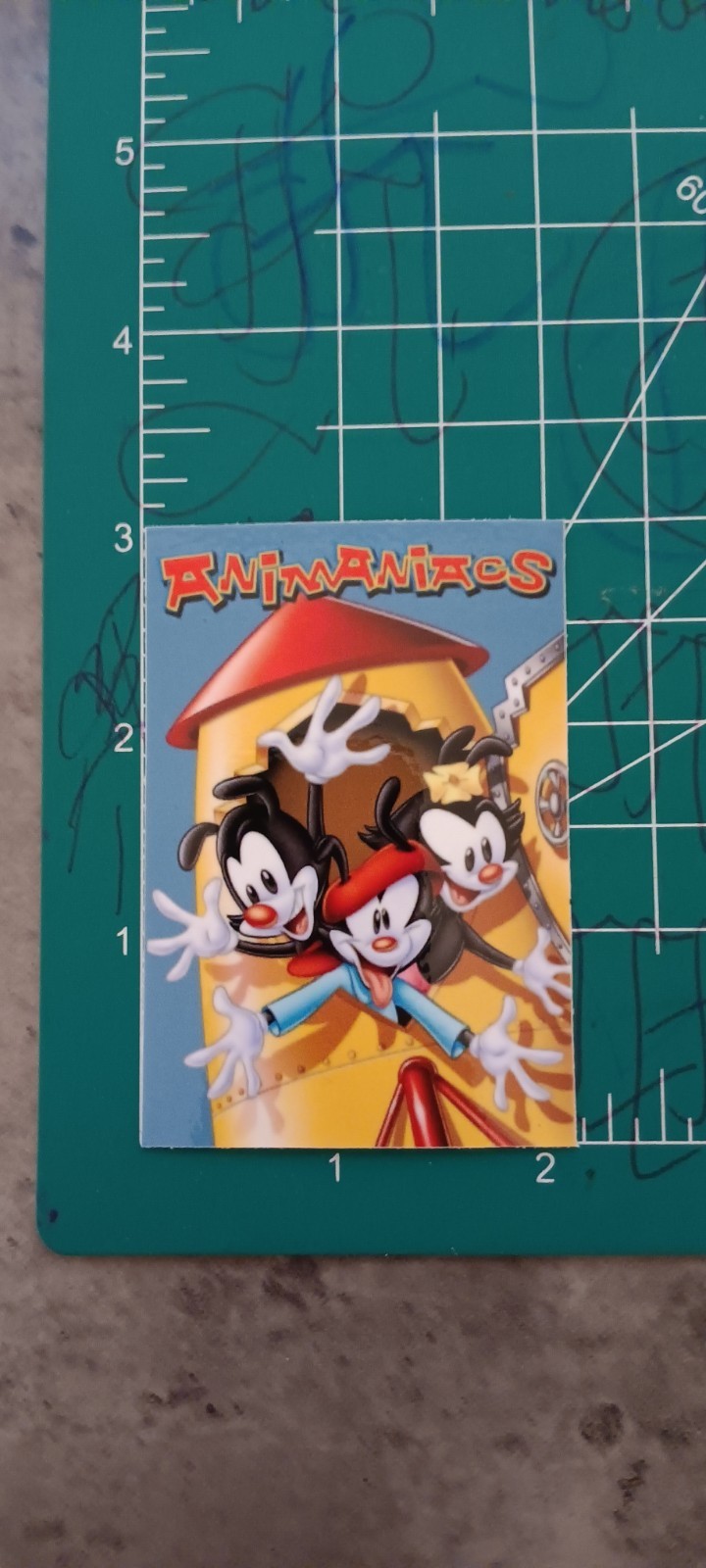 ANIMANIACS VYNIL STICKER 3X2