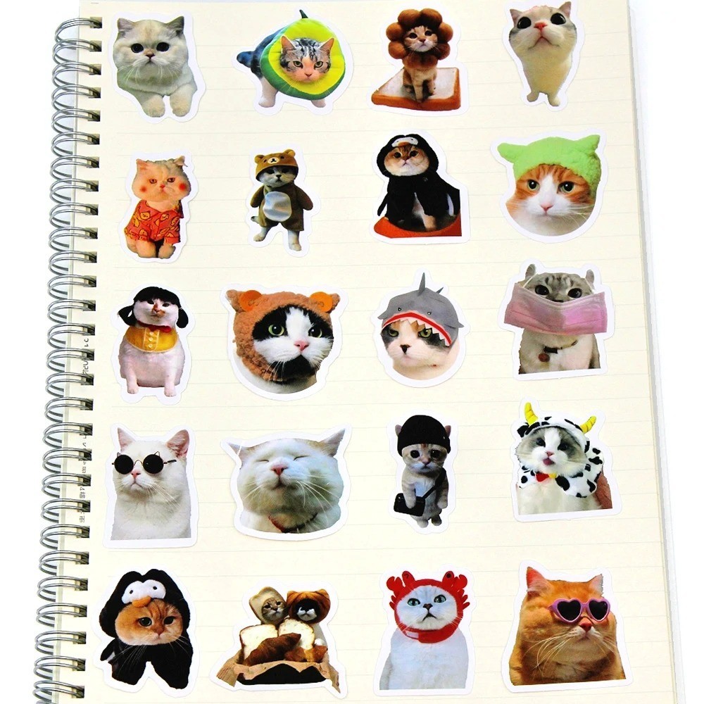 100pcs Funny Cat Meme Stickers Cartoon Decals For Guitar Phone Bicycle Laptops
