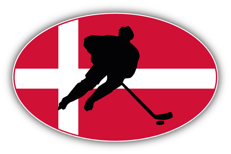 Denmark Flag Hockey Label Car Bumper Sticker Decal
