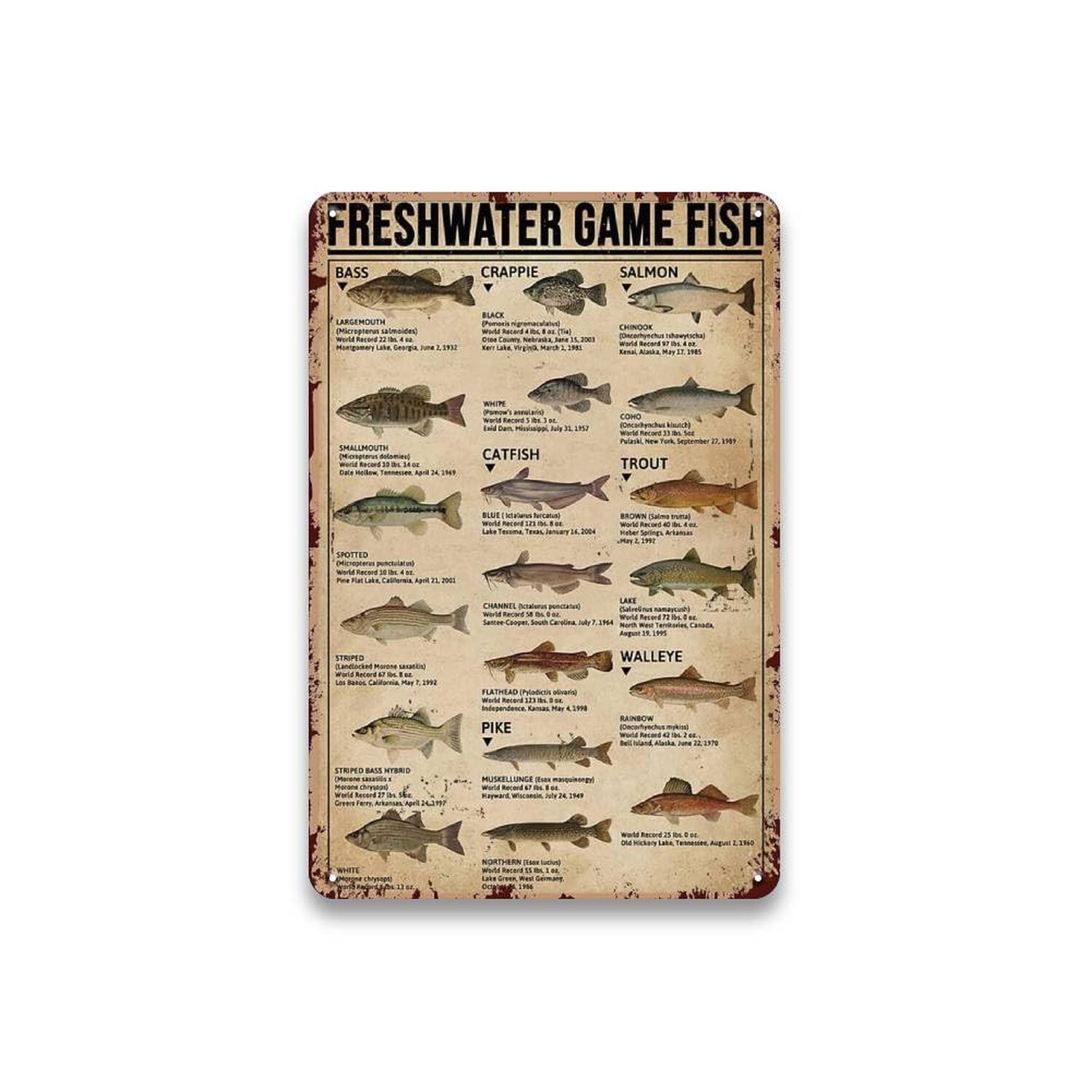 Metal Fishing Decor Wall Art – Freshwater Game Fish Sign, Vintage Fishing Hun…