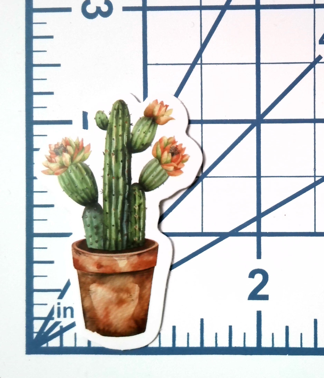 Vinyl Sticker Die Cut Flowering Cactus Decal Succulent Desert Blossom Laptop