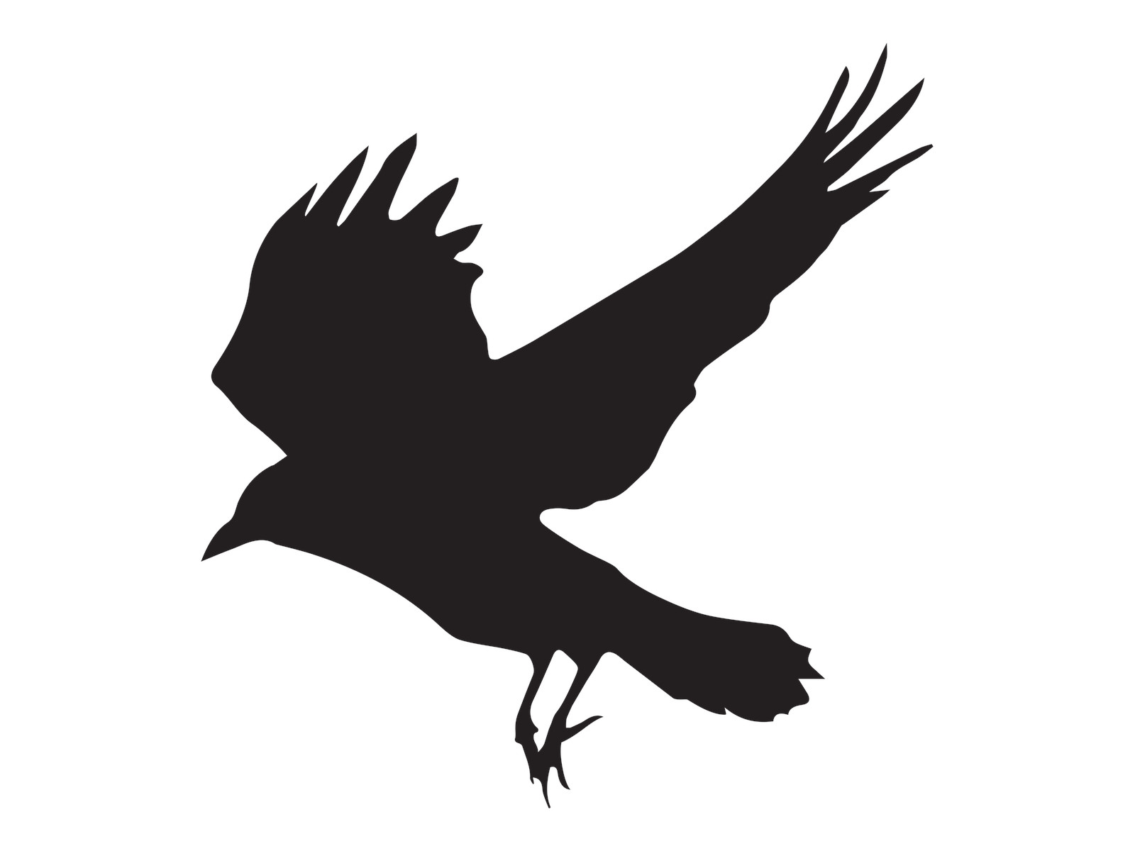 Flying Bird Crow Raven Car Window Door Décor Sticker Witch Halloween Vinyl Decal