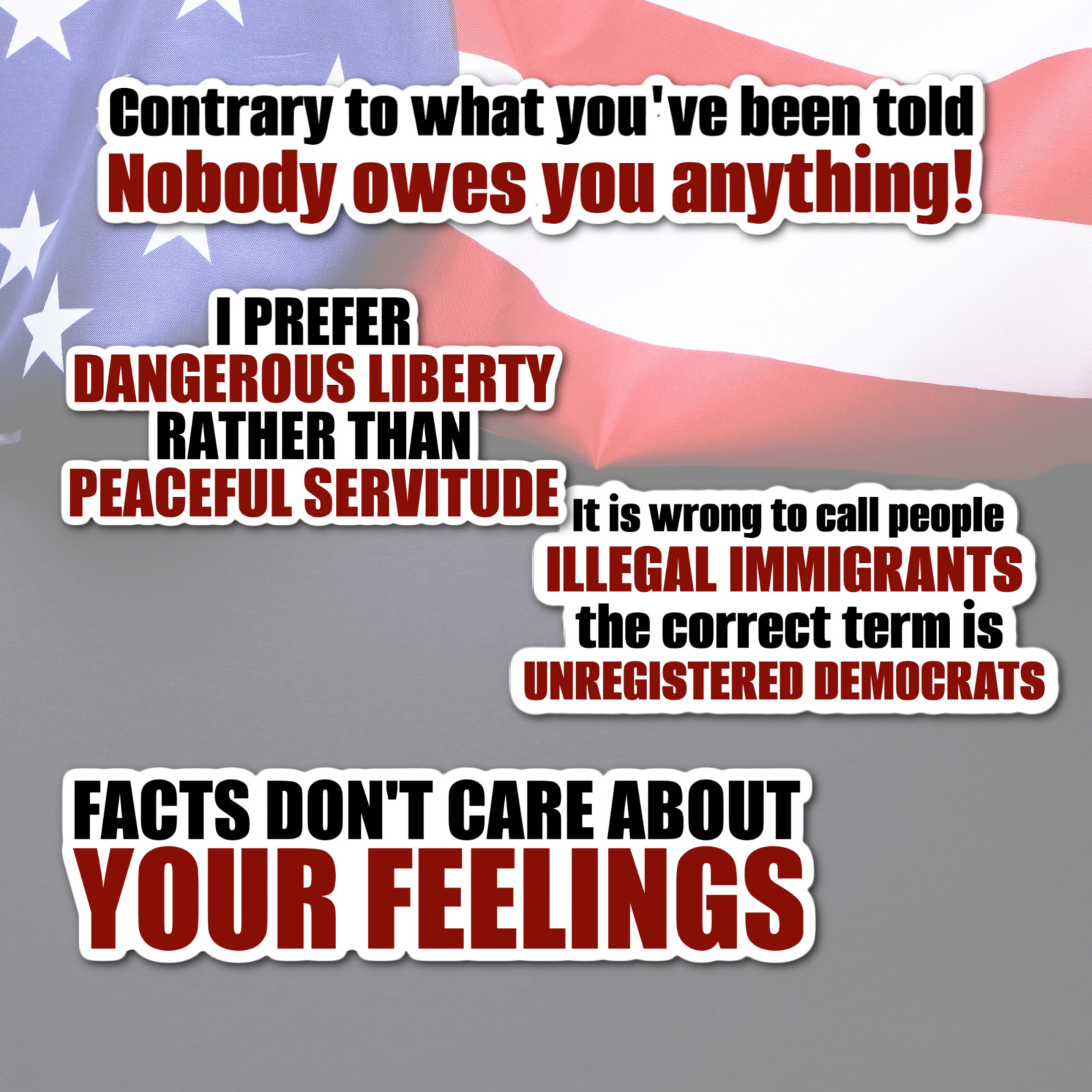 Set of 4 Freedom America USA Political Truths Quality laminated Sticker Freedom