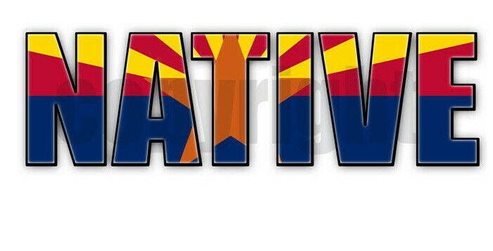 Arizona Native Flag Stickers Flag Decals Vinyl Indoor Outdoor Stickers