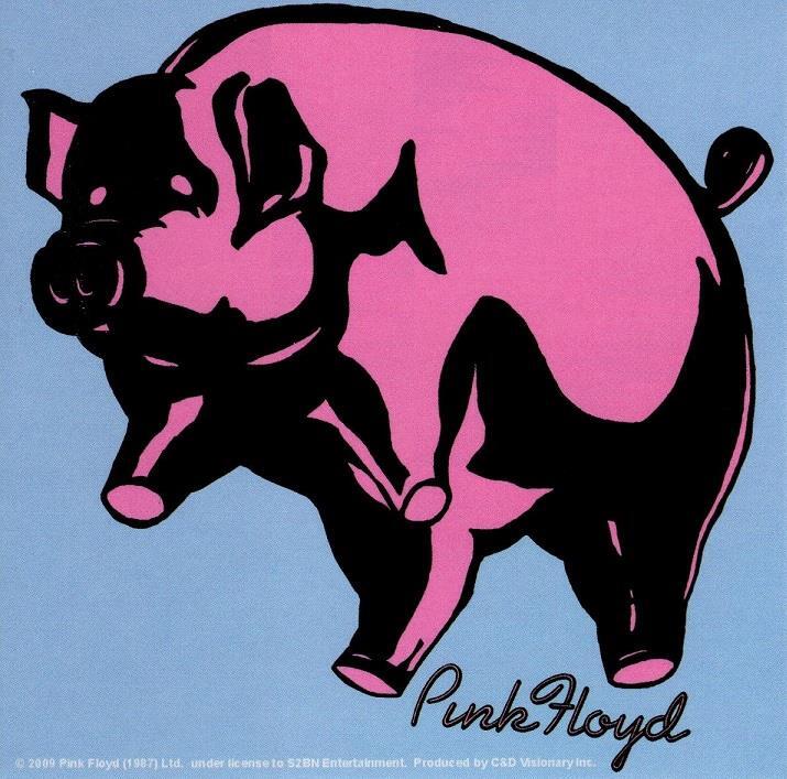 Pink Floyd Pig Sticker Decal Rock