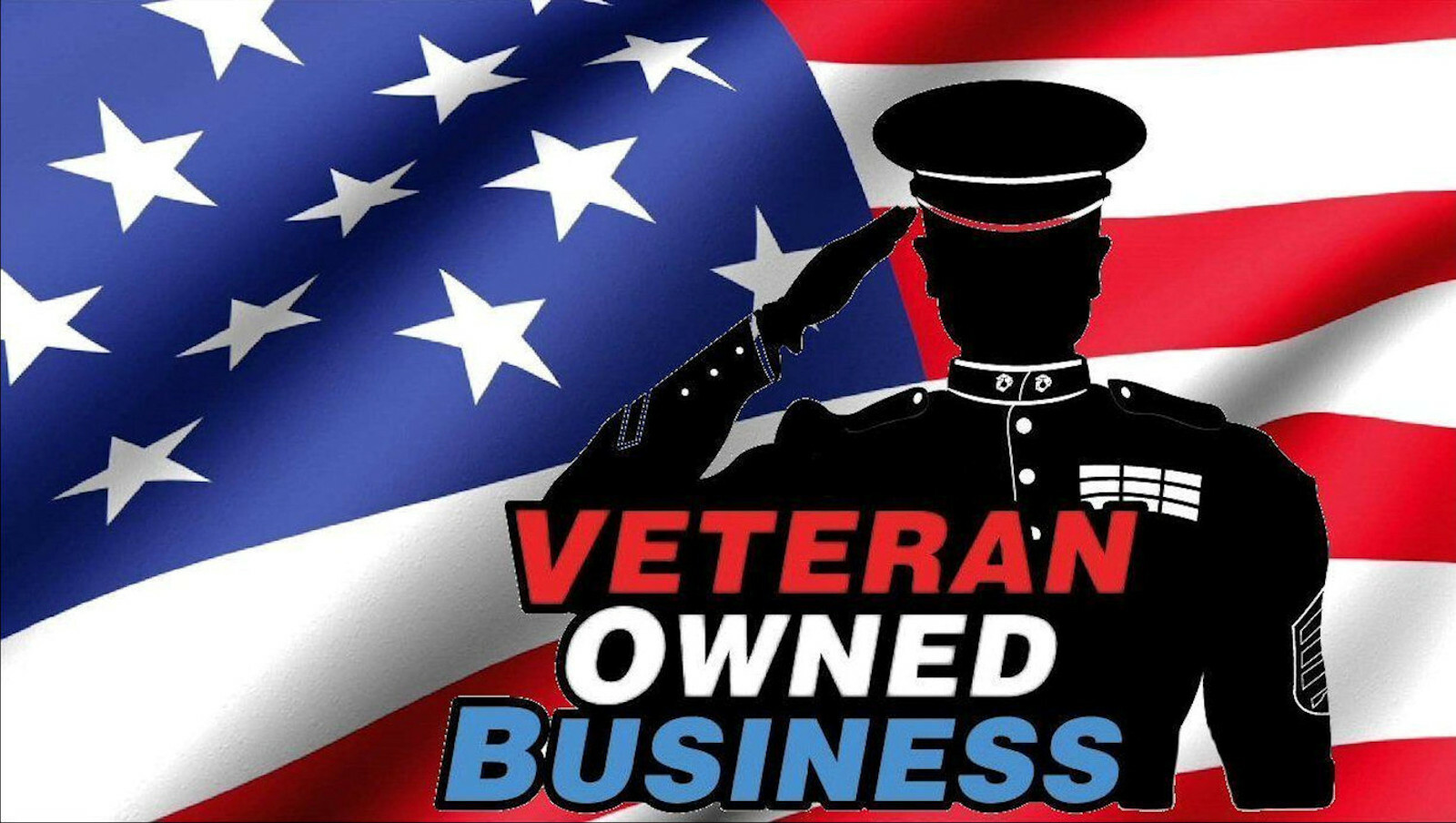 We The People with US Flag and Skull Decal USA Made US Seller