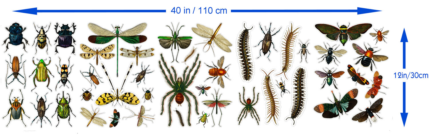 Vinyl Wall Stickers/VINTAGE INSECTS AND BUGS/Waterproof, Outdoor, Wall-Safe