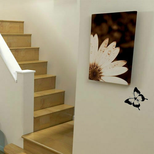 Butterfly silhouette waterproof Vinyl Decal Sticker for Door Windows Wall Home