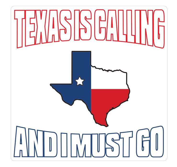 Texas Sticker Decal A481