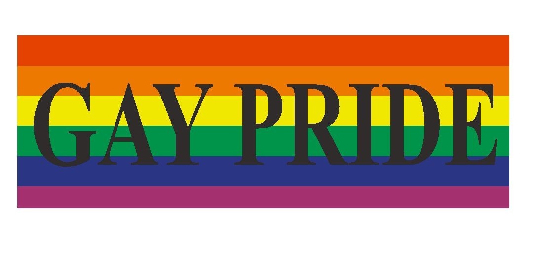 Gay Pride Gay Rights Equality Bumper Sticker or Helmet Sticker D392