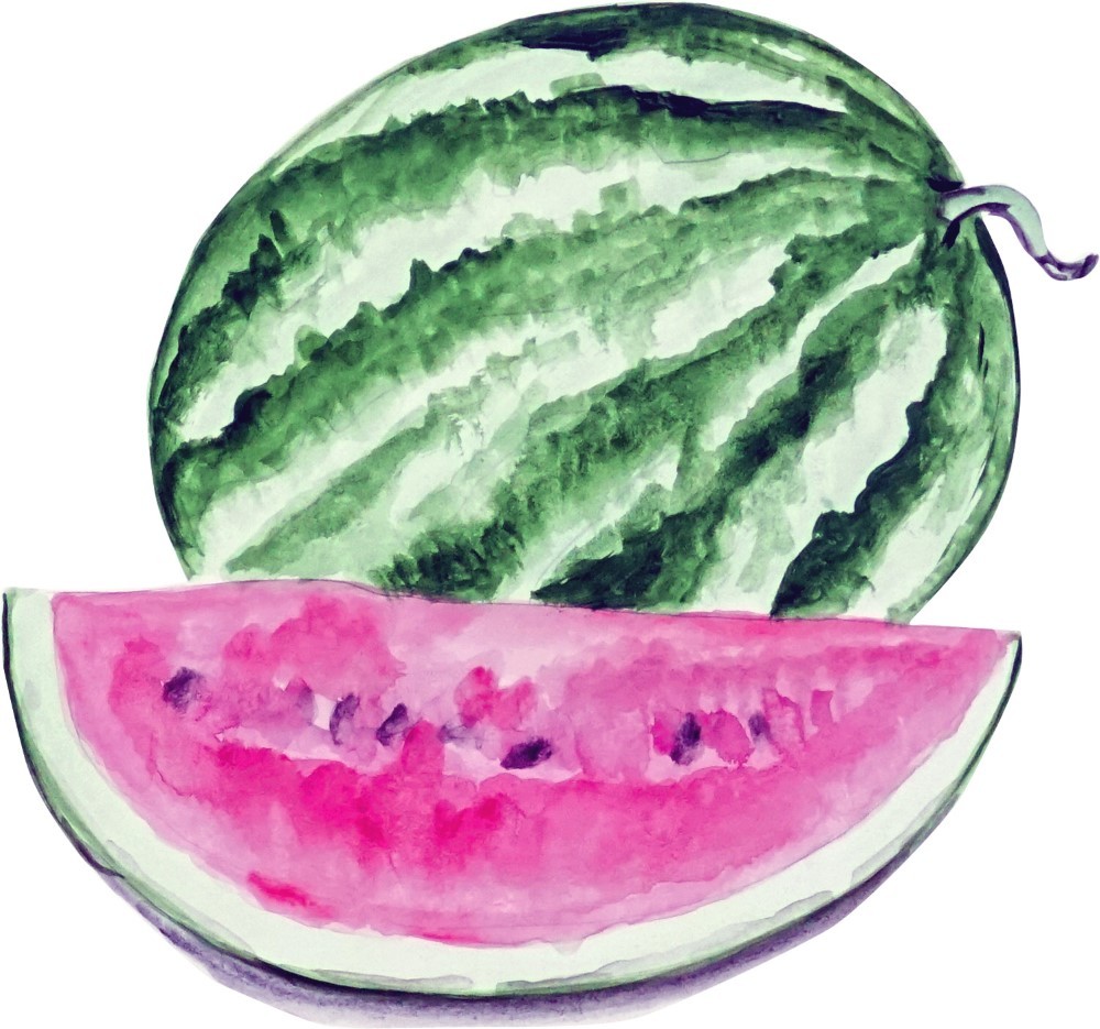 Decal Vinyl Sticker Watermelon – Printed Vinyl Decal Made in USA