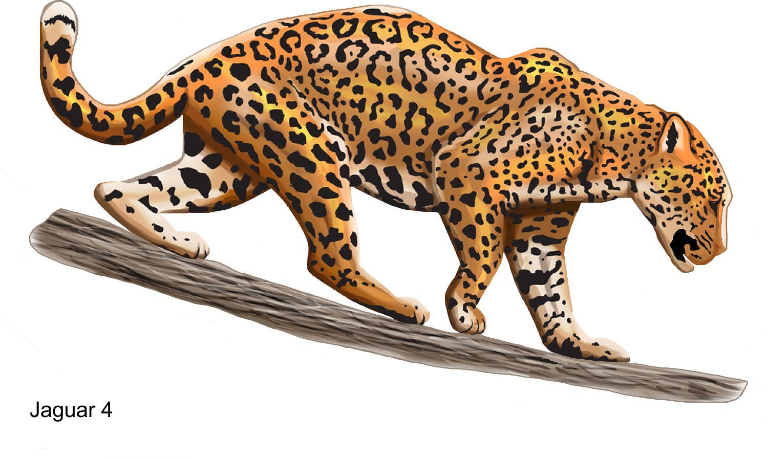 LARGE-SIZED CAR DECALS – JAGUAR – 5 CHOICES