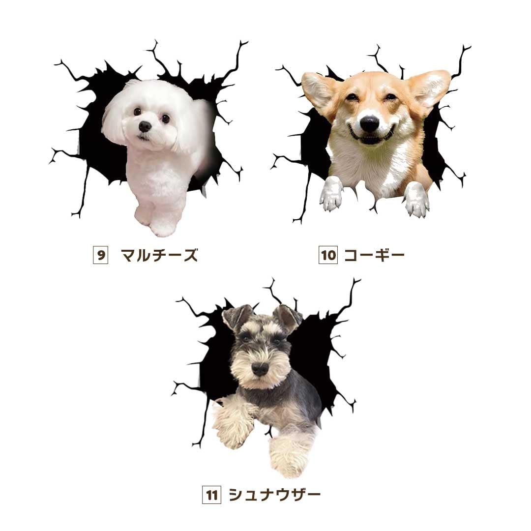 3D Pop Up Dog Car Sticker Pomeranian Design
