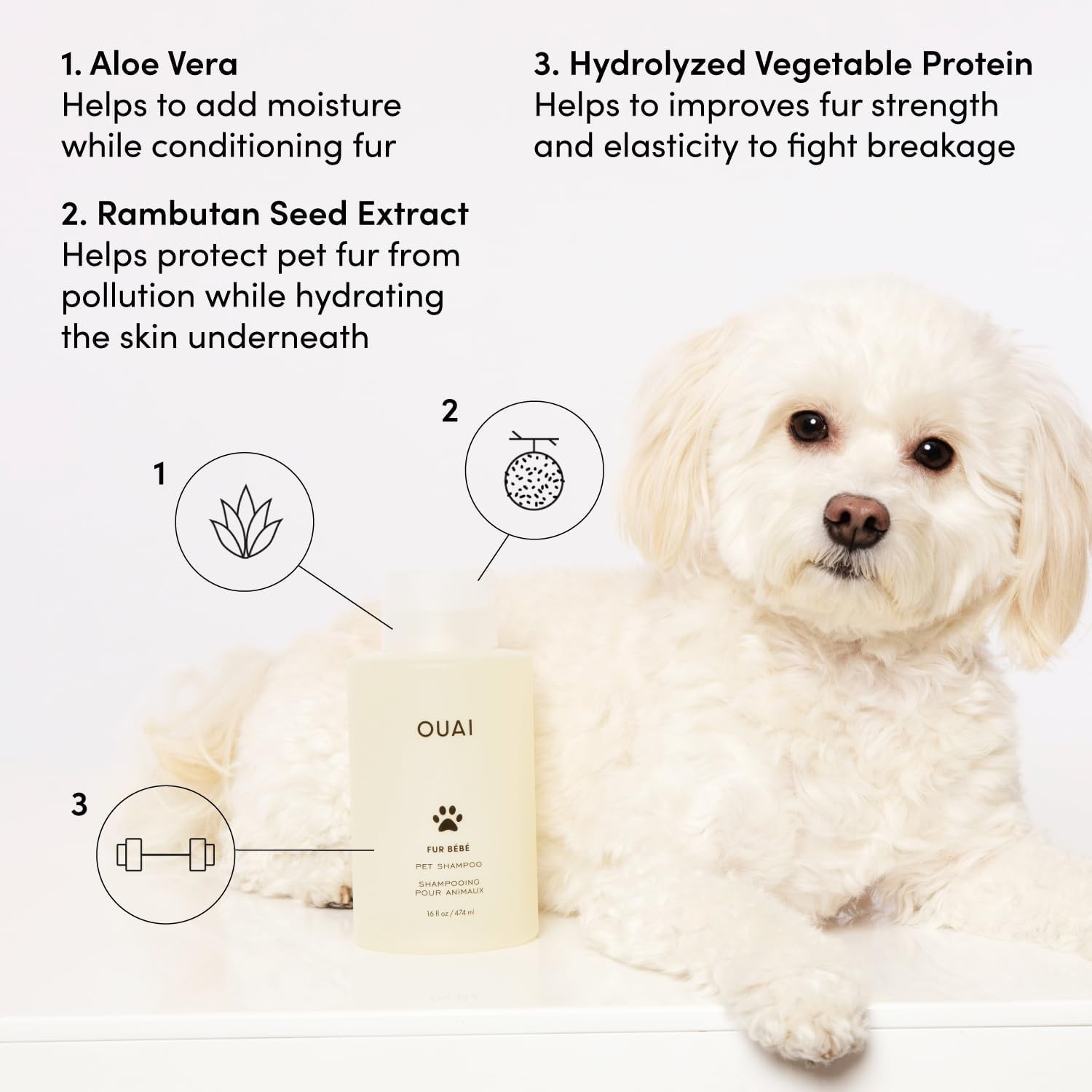 OUAI Fur Bébé Pet Shampoo – Cat & Dog for Gentle 16 Fl Oz (Pack of 1)