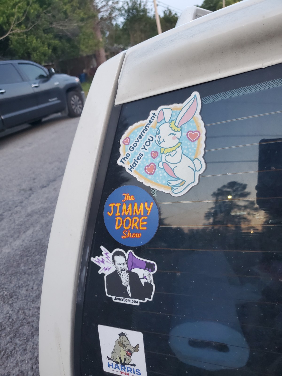 Conspiracy Theorist Stickers HUGE 6×6" Design *5* Year Warranty Made in USA 🇺🇸