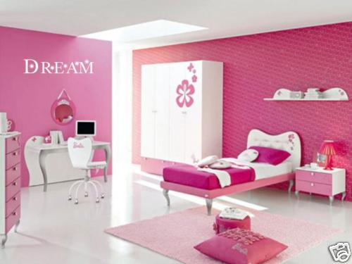 DREAM Girls Room Nursery Baby HomeWall Art Decal Words Lettering Decor 36"