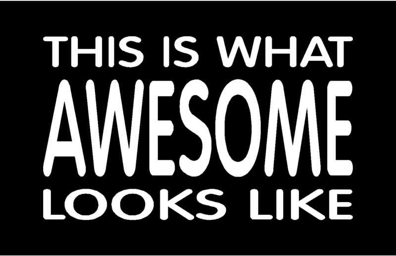 THIS IS WHAT AWESOME LOOKS LIKE Vinyl Decal 8" x 4.75"