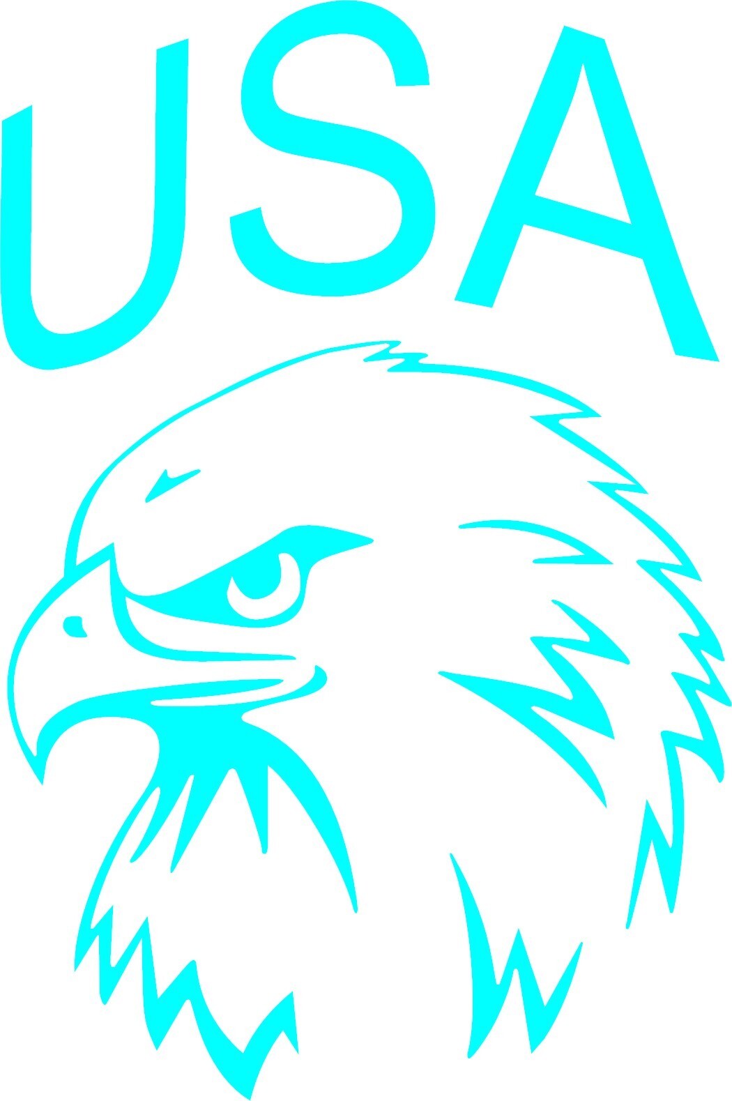 USA EAGLE HEAD VINYL DECAL In your choice of color 5.0"H X 3.5"W "