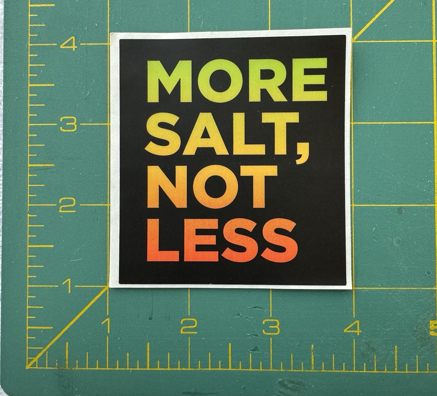 LMNT 2 Stickers + 1 Stick Set: More Salt Not Less, LMNT Black Square, Lemonade
