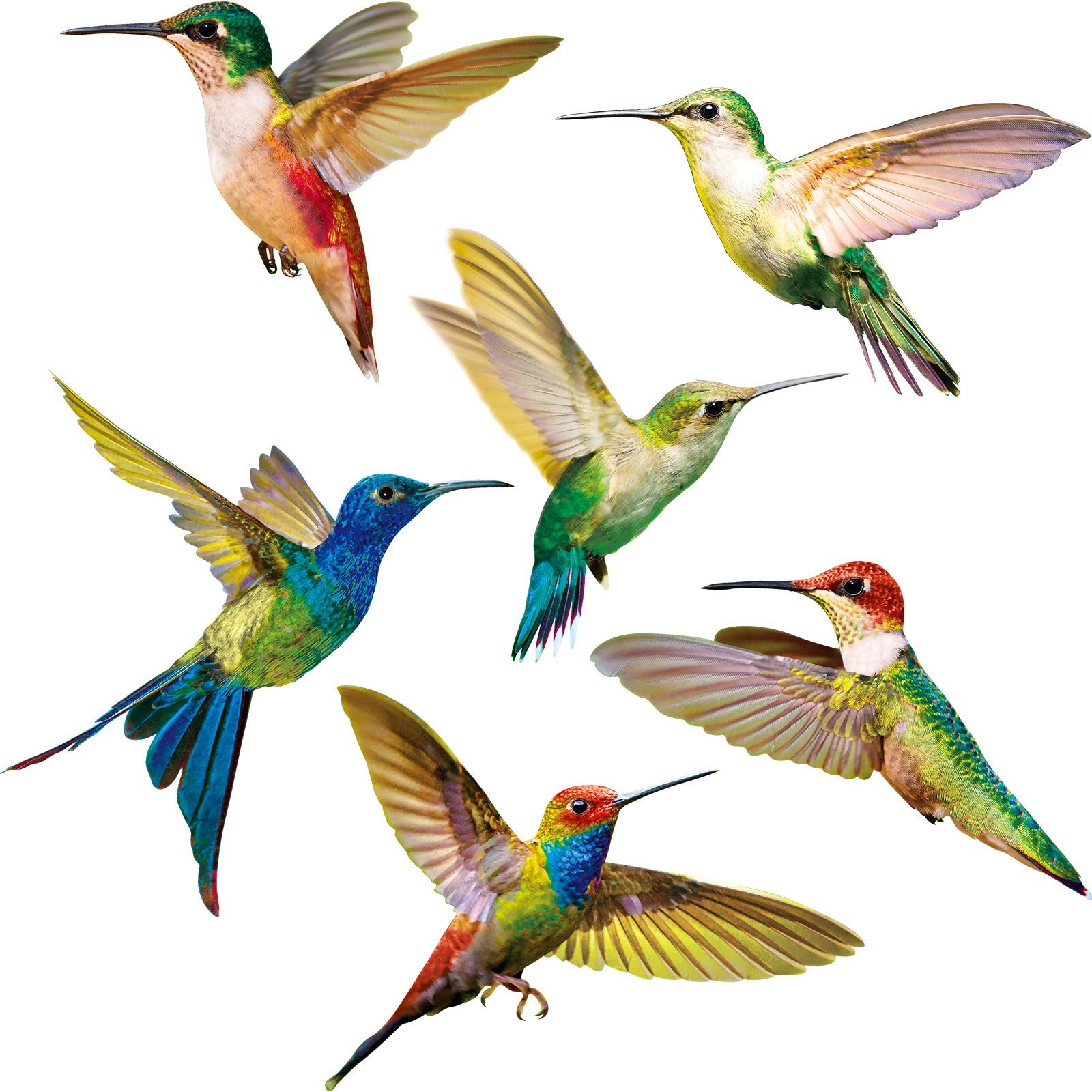 Blulu 6 Pieces Large Size Hummingbird Window Clings 6pcs, Multicoloured