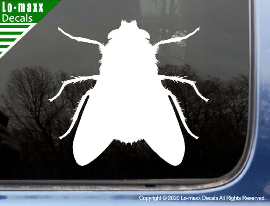 Fly Housefly Original Custom Graphic Art Superior Quality Die Cut Vinyl Decal