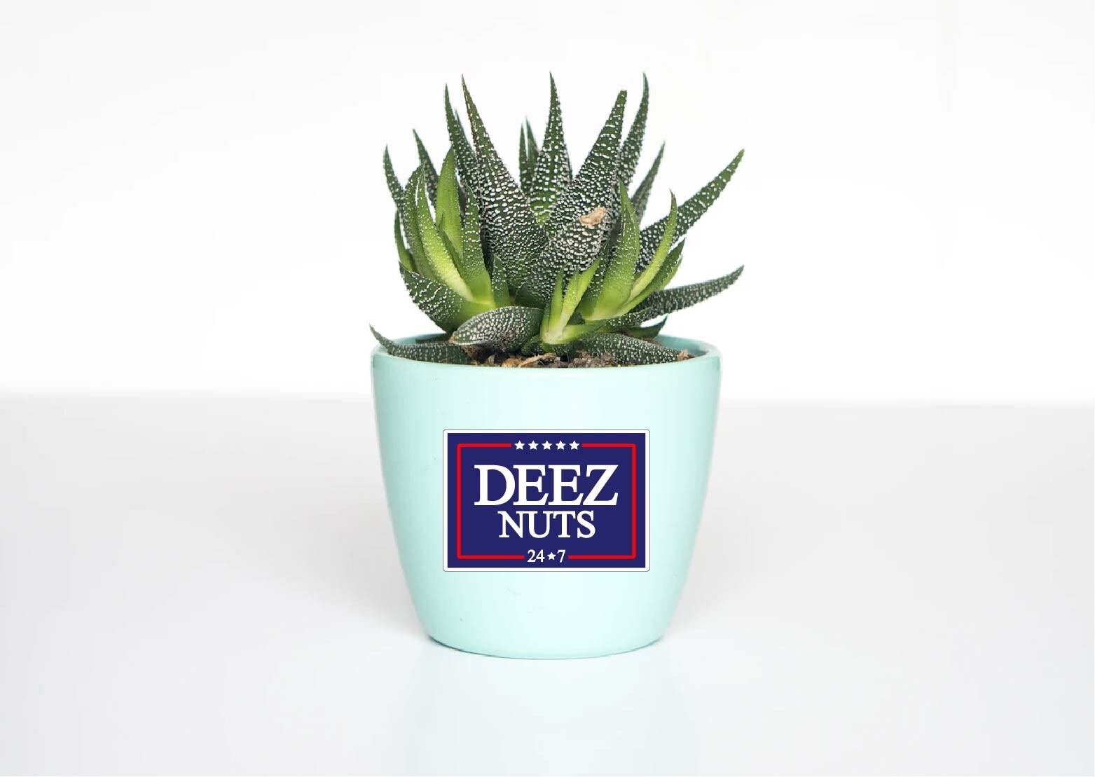 Deez Nuts 24 7 Decal Sticker Political Humor Anti Pro Trump MAGA Biden Vote USA