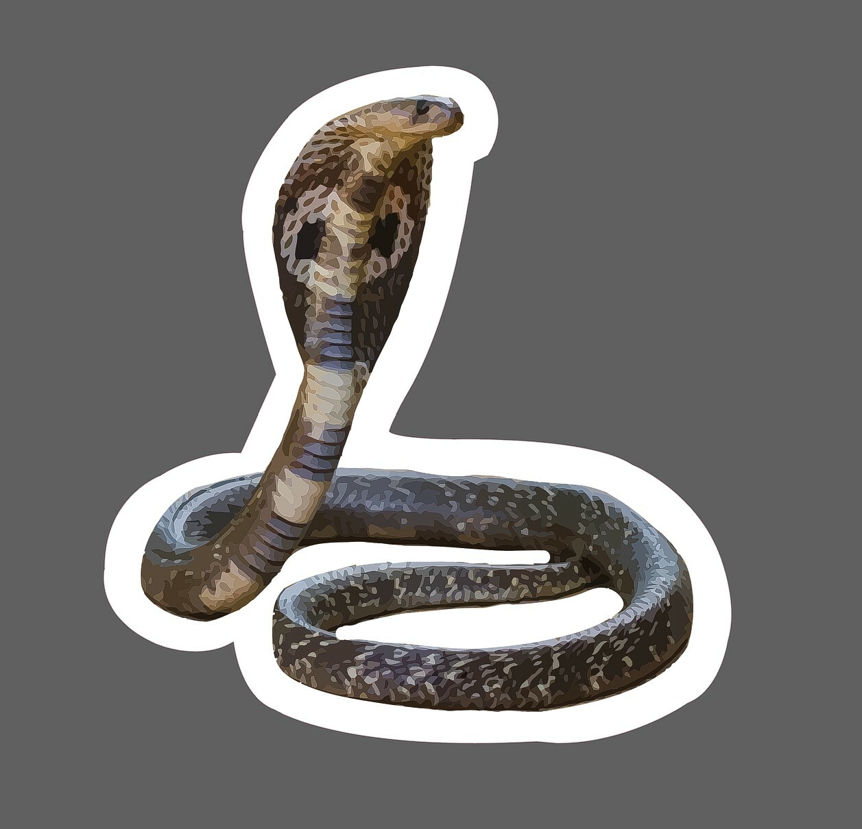 King Cobra Sticker Realistic Waterproof – Buy Any 4 For $1.75 Each Storewide!