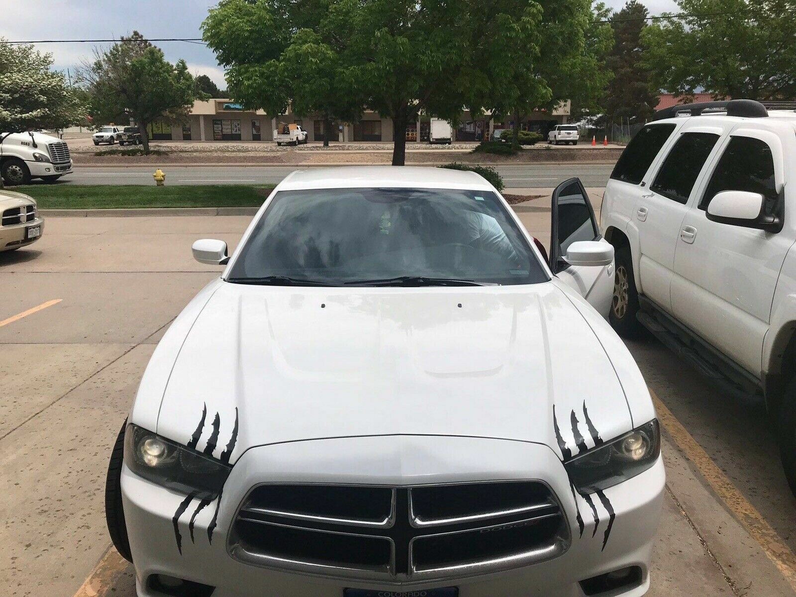 Claw Scratch Mark Decal Various Colors