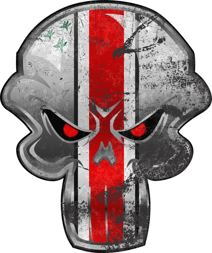 BUCKEYES WILL PUNISH YOU REPOSITIONABLE GRAPHIC-SPORTS-GIFT-USA SELLER!