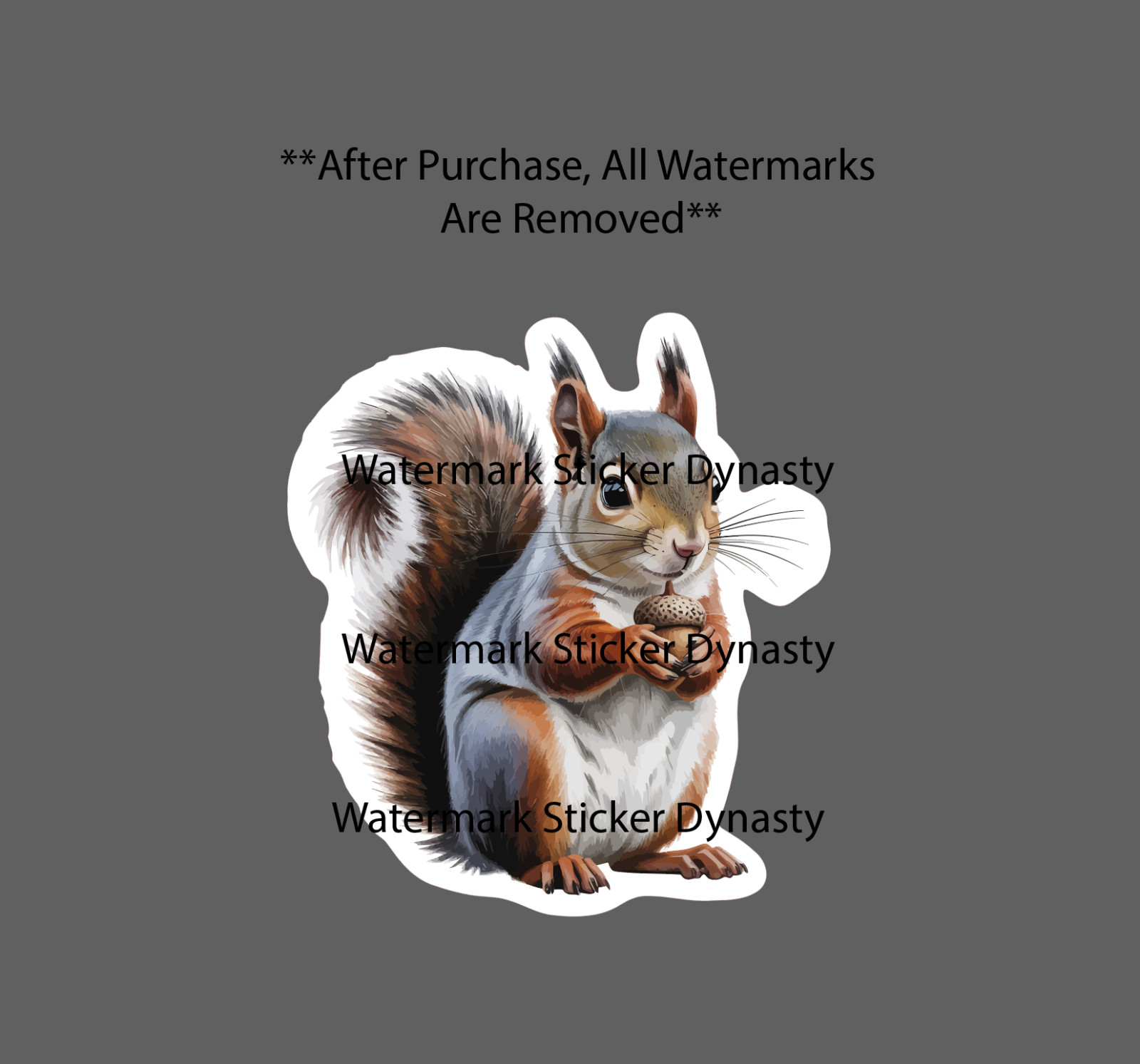 Squirrel Sticker Waterproof Decal Abert's Animal Outdoor Nature Wild Gift NEW