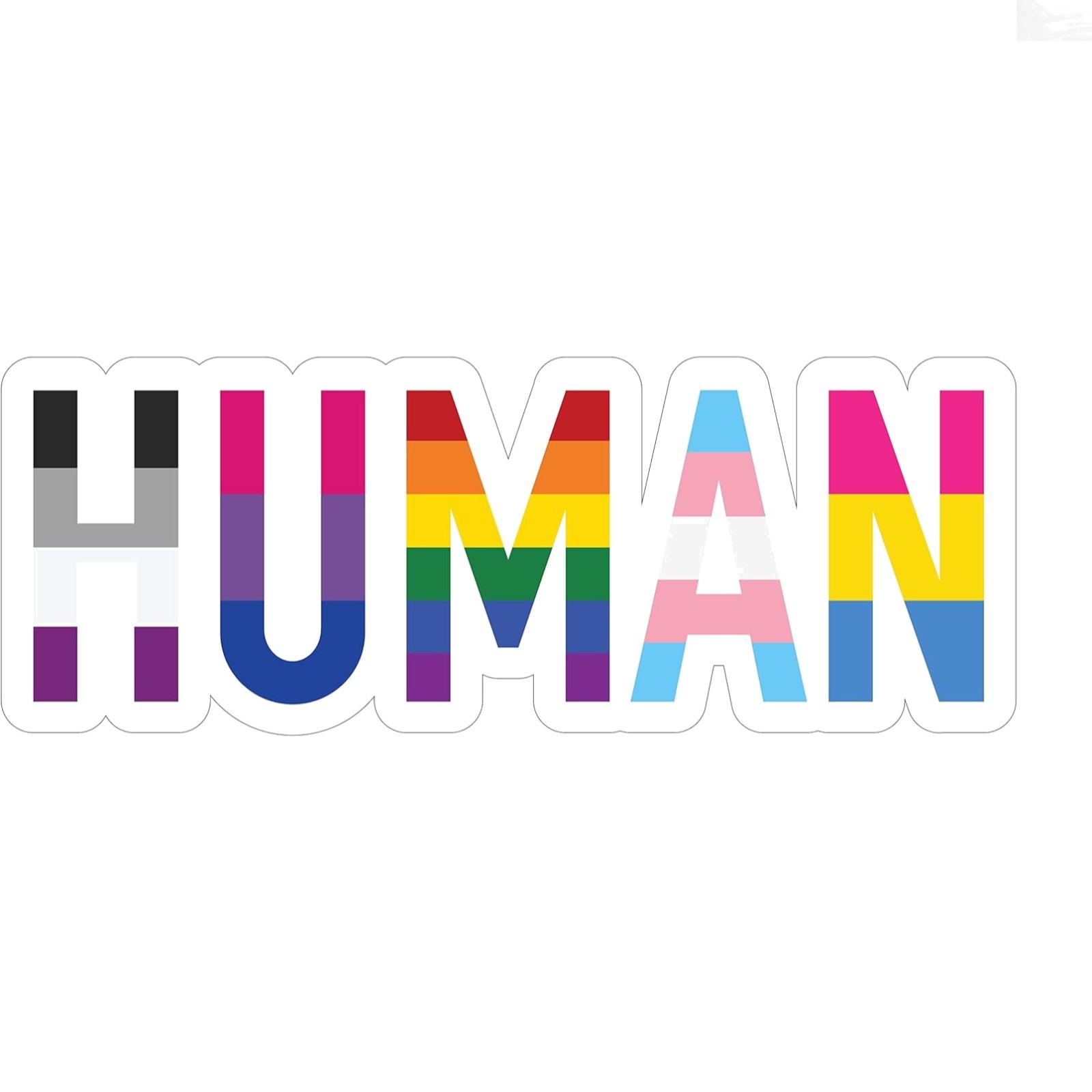 Waterproof LGBT+ Pride Rainbow Flag Decal for Cars and Laptops – 6" x 2.25"