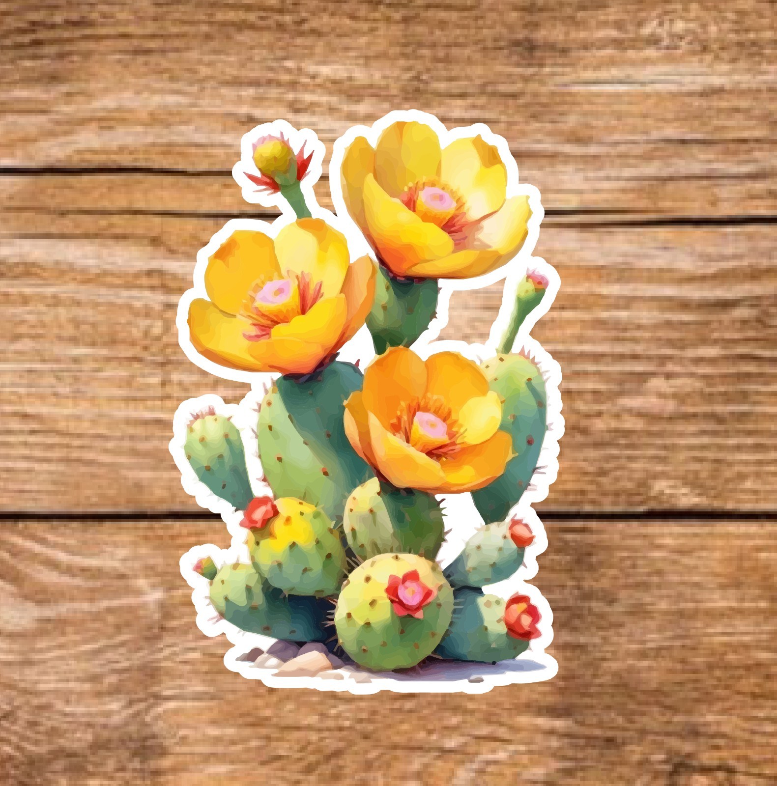 Cactus – 2 Pages (20 Sticker Set) 2in, Waterproof, Glossy Finish Vinyl.