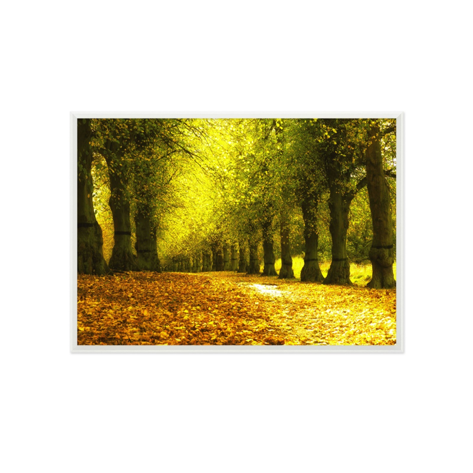 3D Leaves Everywhere 55 Framed Poster Home Decor Print Painting Art AJ WALLPAPER