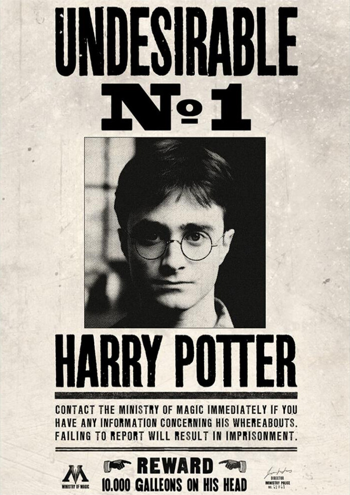 Harry Potter Wanted Poster Set Hermione Ron Weasley Dumbledore Bellatrix A4/A3