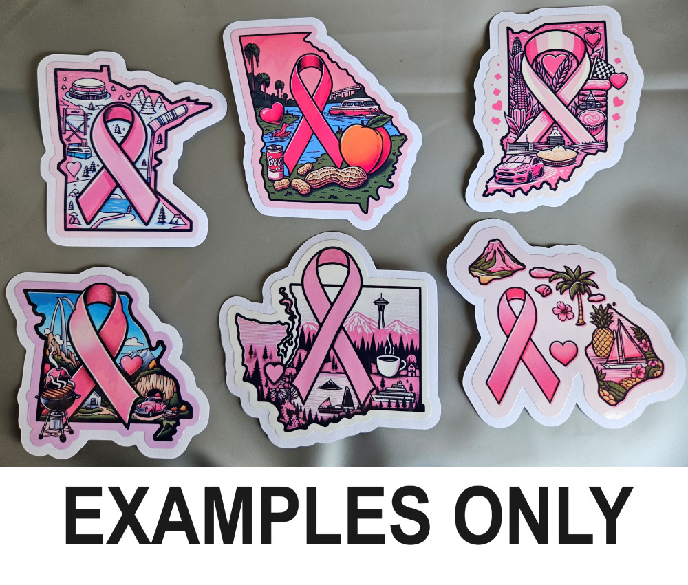 Multipack State Pink Awareness Ribbon Stickers Glossy Breast Cancer WI MN MO IN