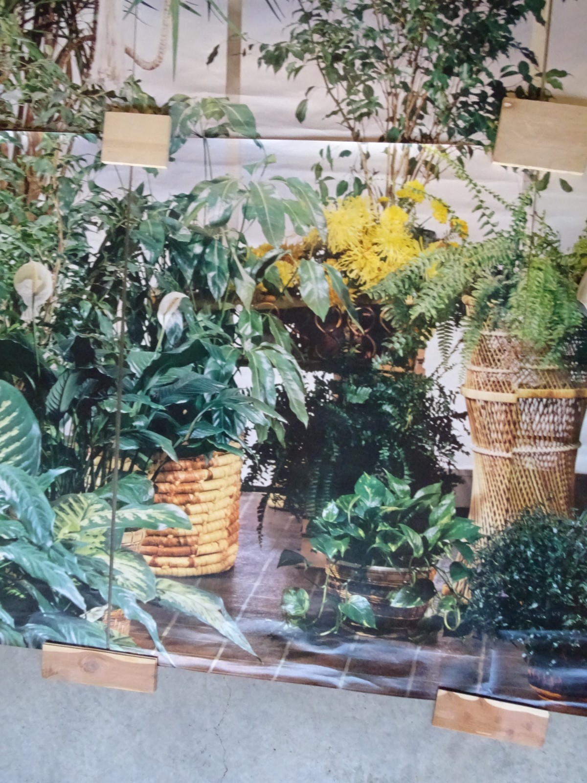 Full Wall Size Mural Tropical Plants Huge Window 8’ 8” x 12’ 6” NOS 108 Sq Ft A