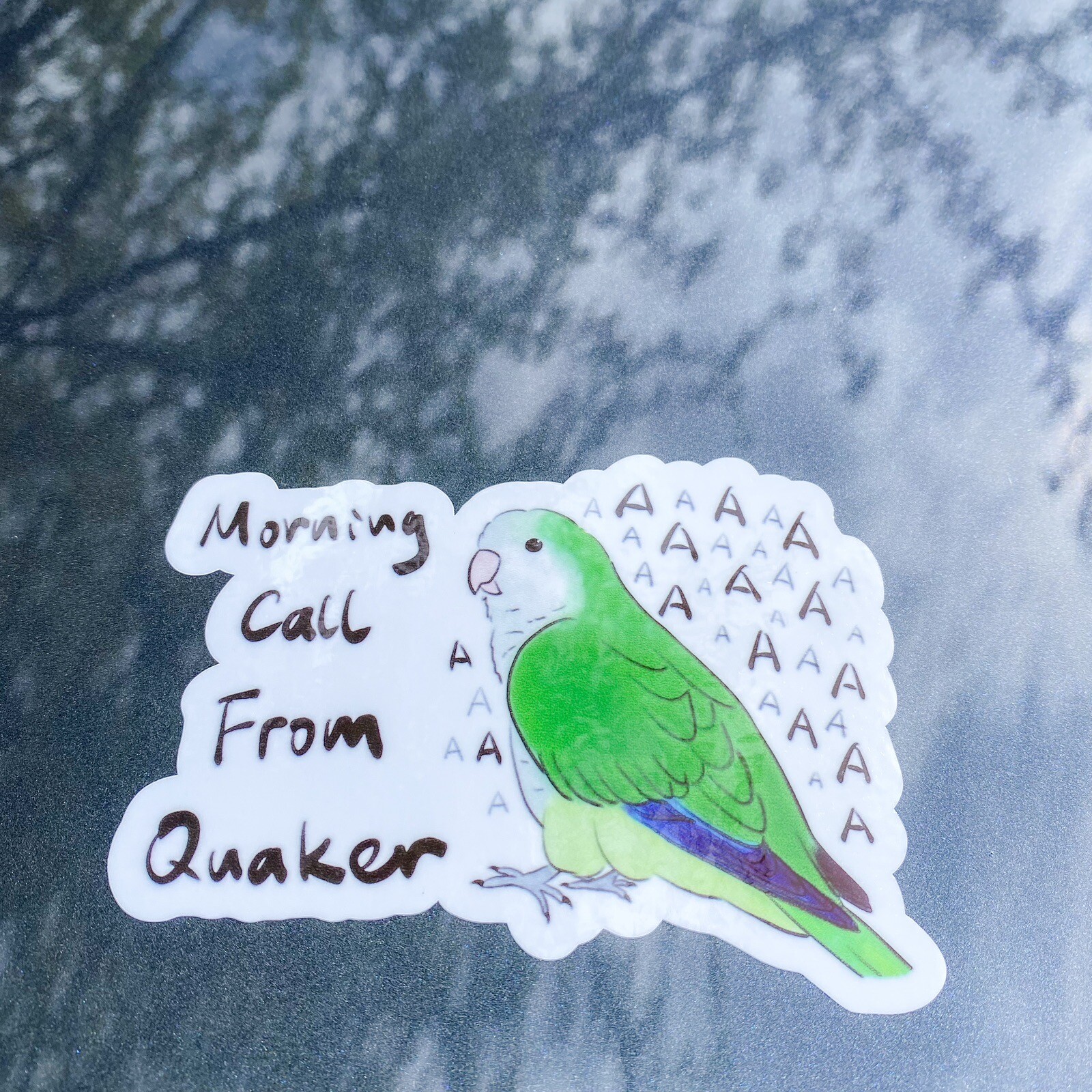 CAR Sticker Green Quaker Parrot Monk Parrot Outdoor use/UV & Water Proof