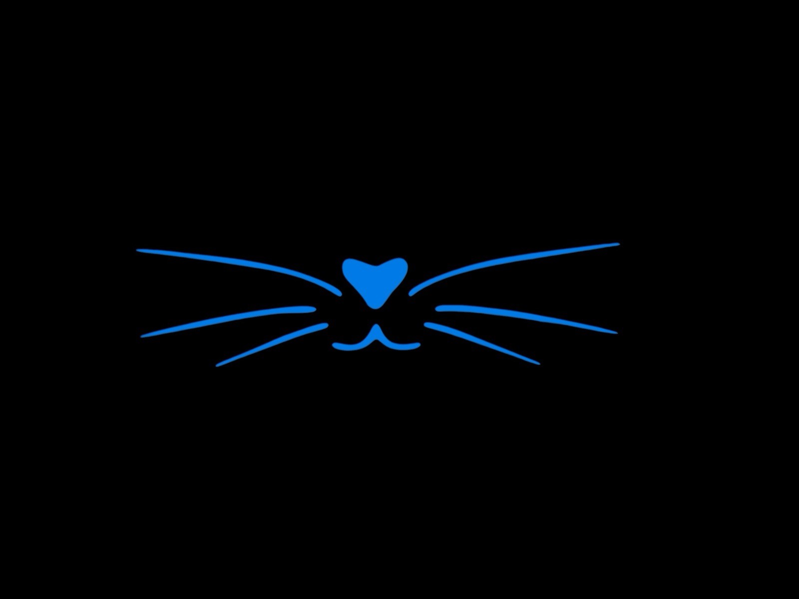 Kitty Whisker Decal for car Windows Laptops most Smooth Surfaces