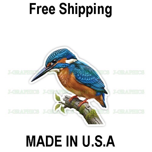 Kingfisher Bird Vinyl Sticker Decal Wildlife Nature B
