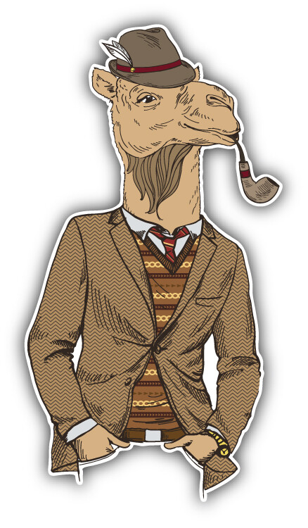 Fashion Camel Car Bumper Sticker Decal
