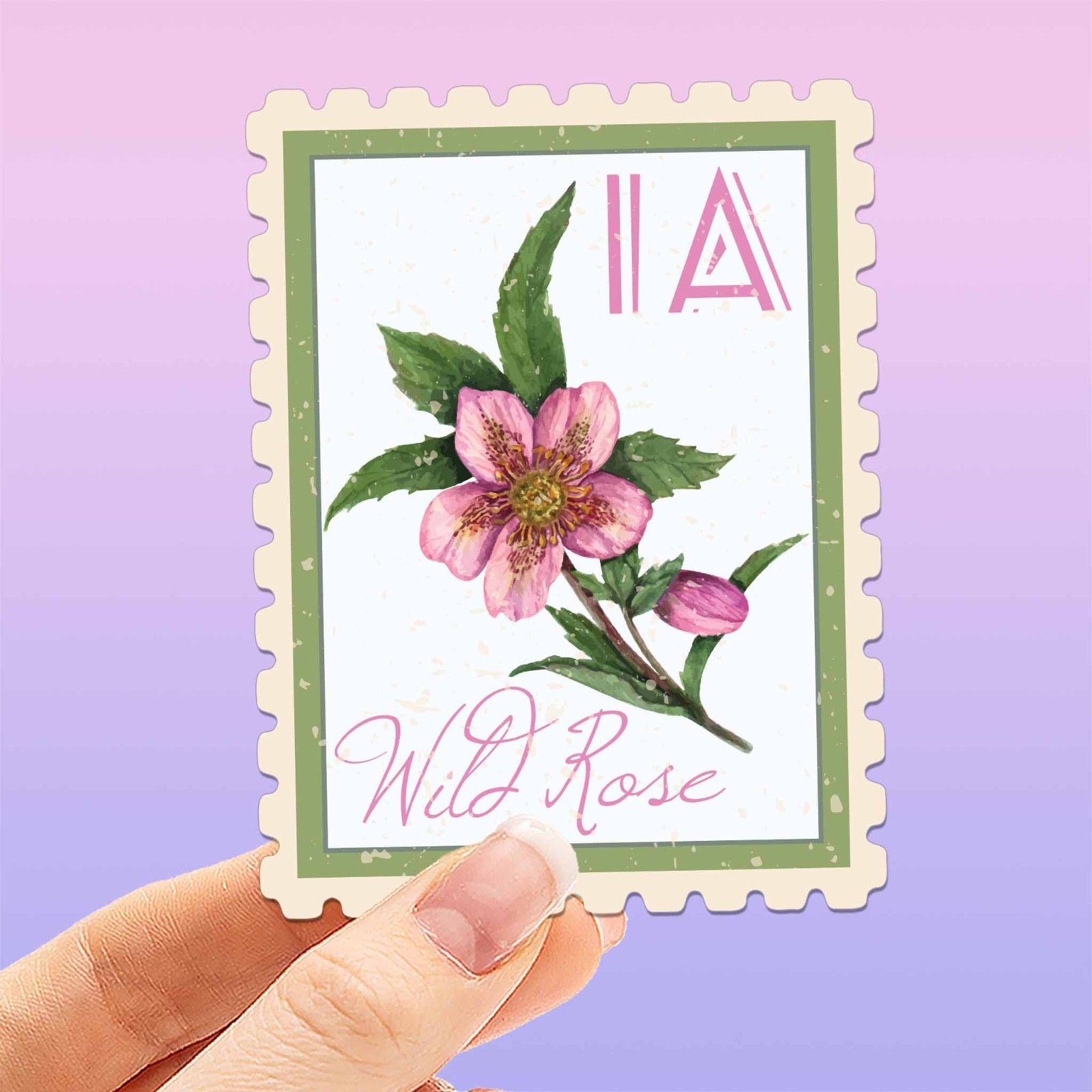 Iowa State Flower Wild Rose Sticker – IA Vintage Stamp Decal for Laptop, Thermos