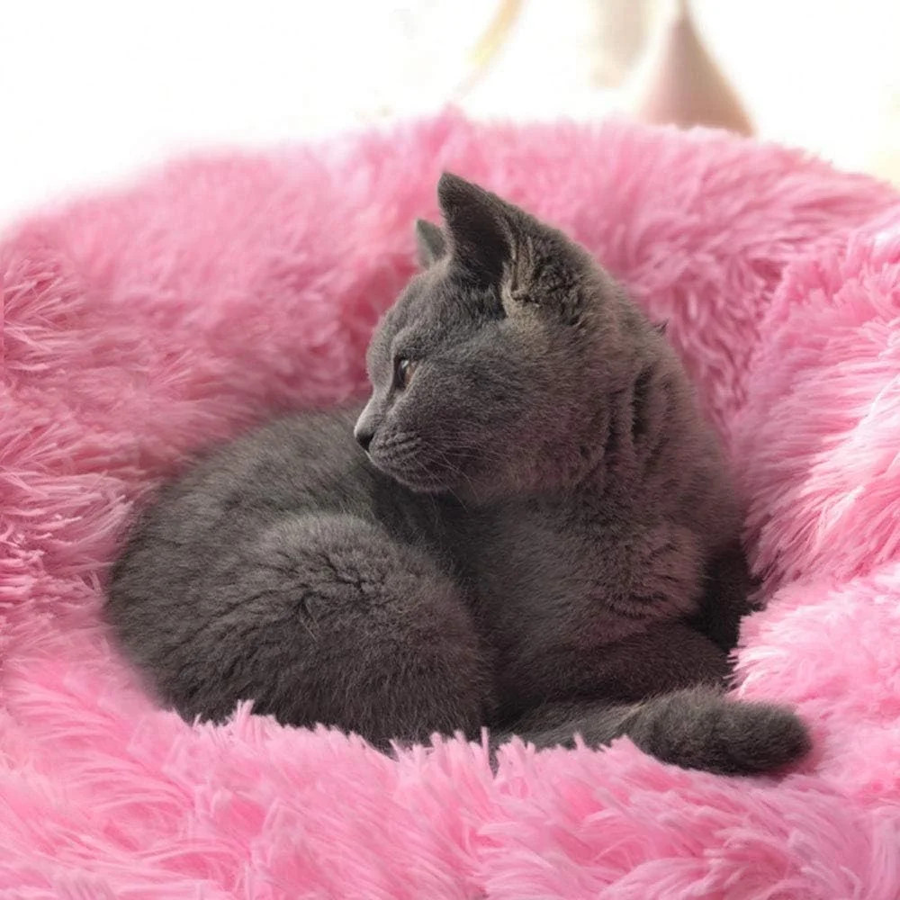 Modern Soft Plush Round Pet Bed for Cats or Small Dogs, Mini Medium Sized Dog Ca