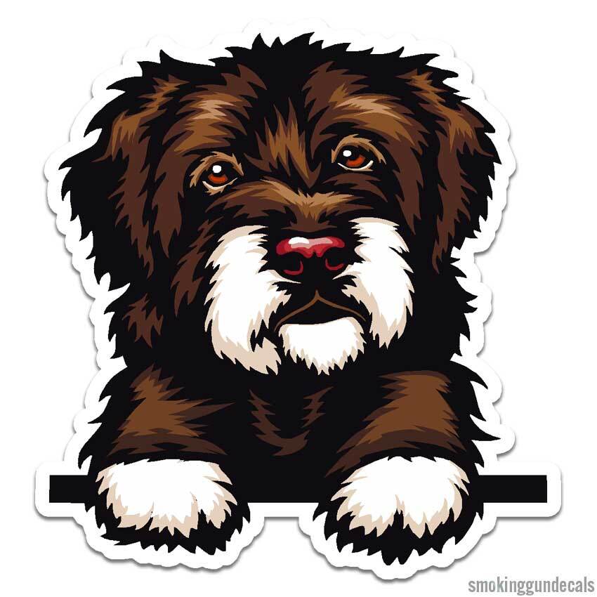 Portuguese Water Dog, Vinyl Decal Sticker, Indoor Outdoor, 3 Sizes, #12118