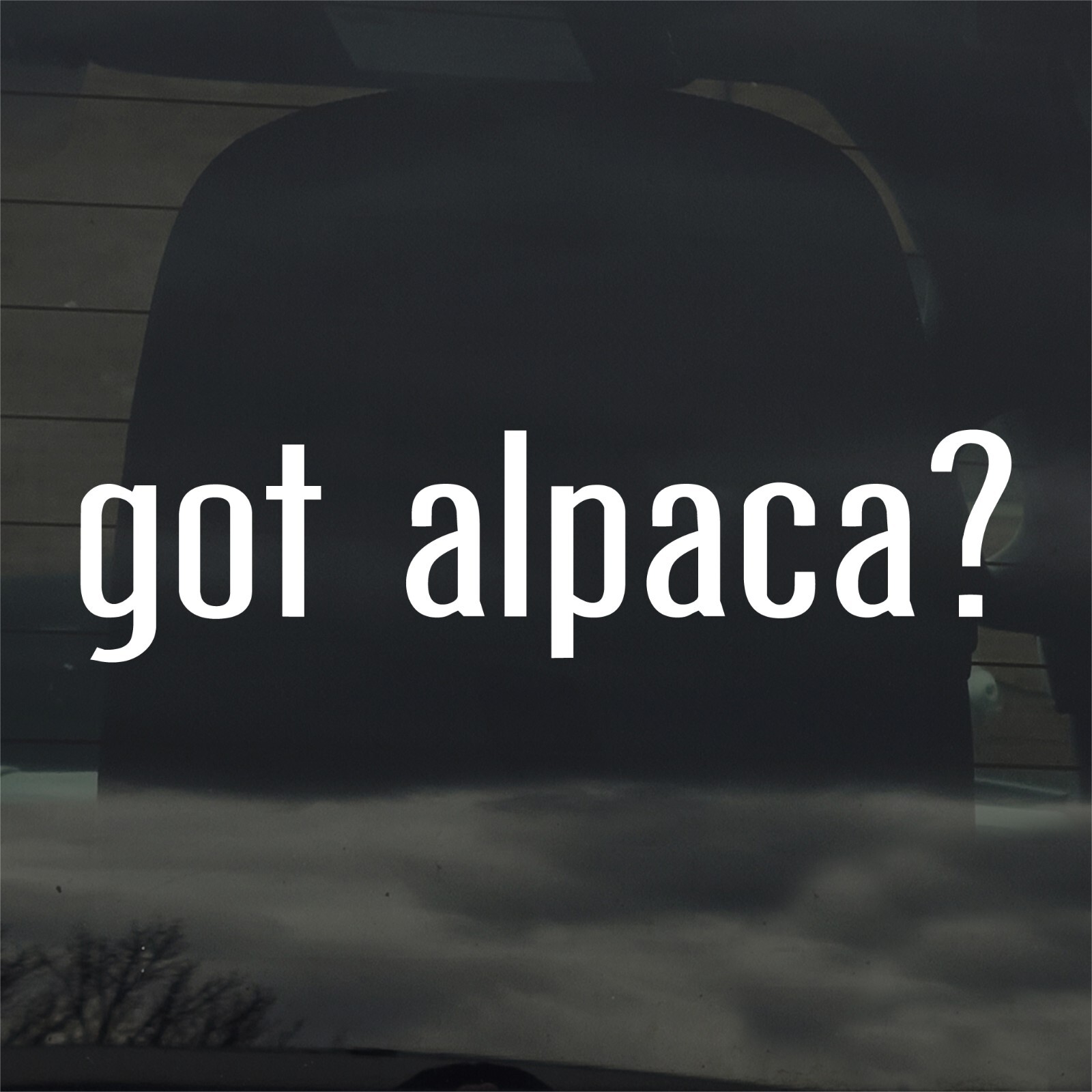 Got Alpaca? Custom Vinyl Sticker / Decal Llama, Animal, Farm, Wool, Nature