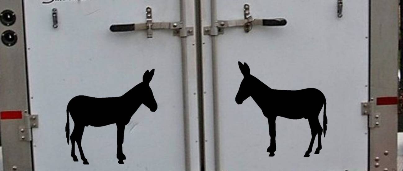 Mammoth Jackstock – Mirrored SET – Donkey OS 431 12 inch decal mule sticker
