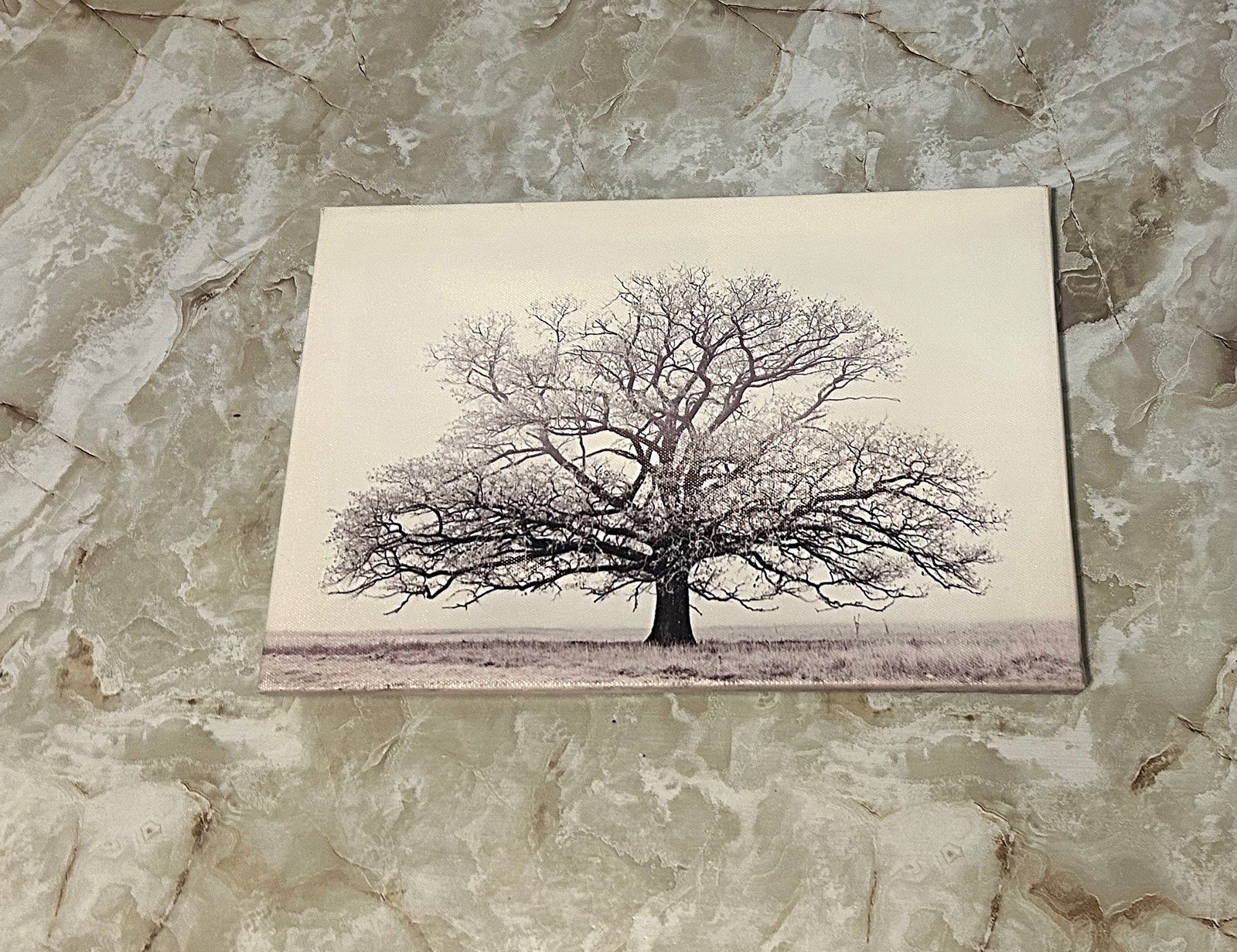 1pc Contemporary Style Grey White Winter Tree Canvas Print Artwork – Home/Office