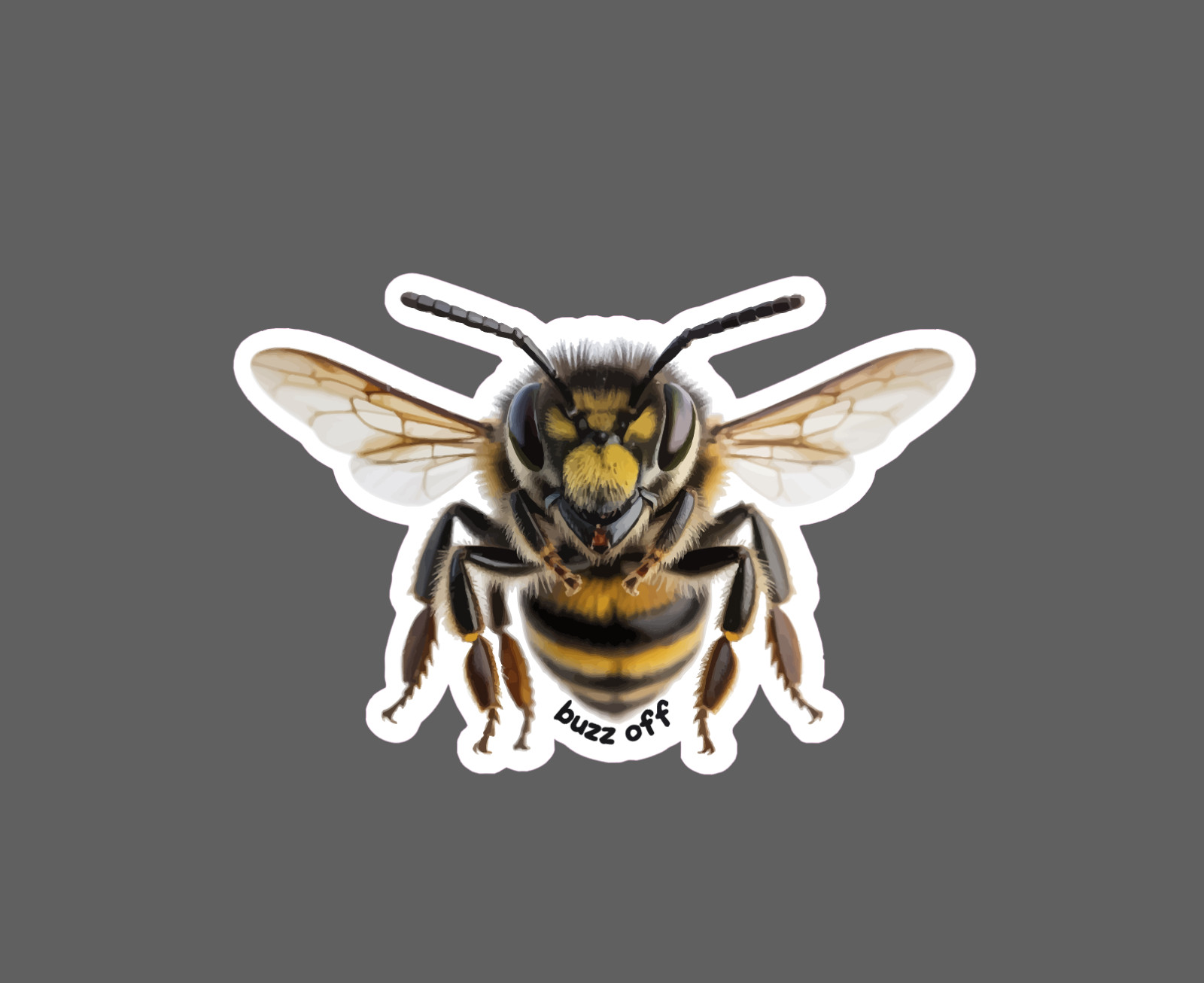 Bee Buzz Off Sticker Waterproof Decal Animal Honey Pollinator Funny Gift NEW
