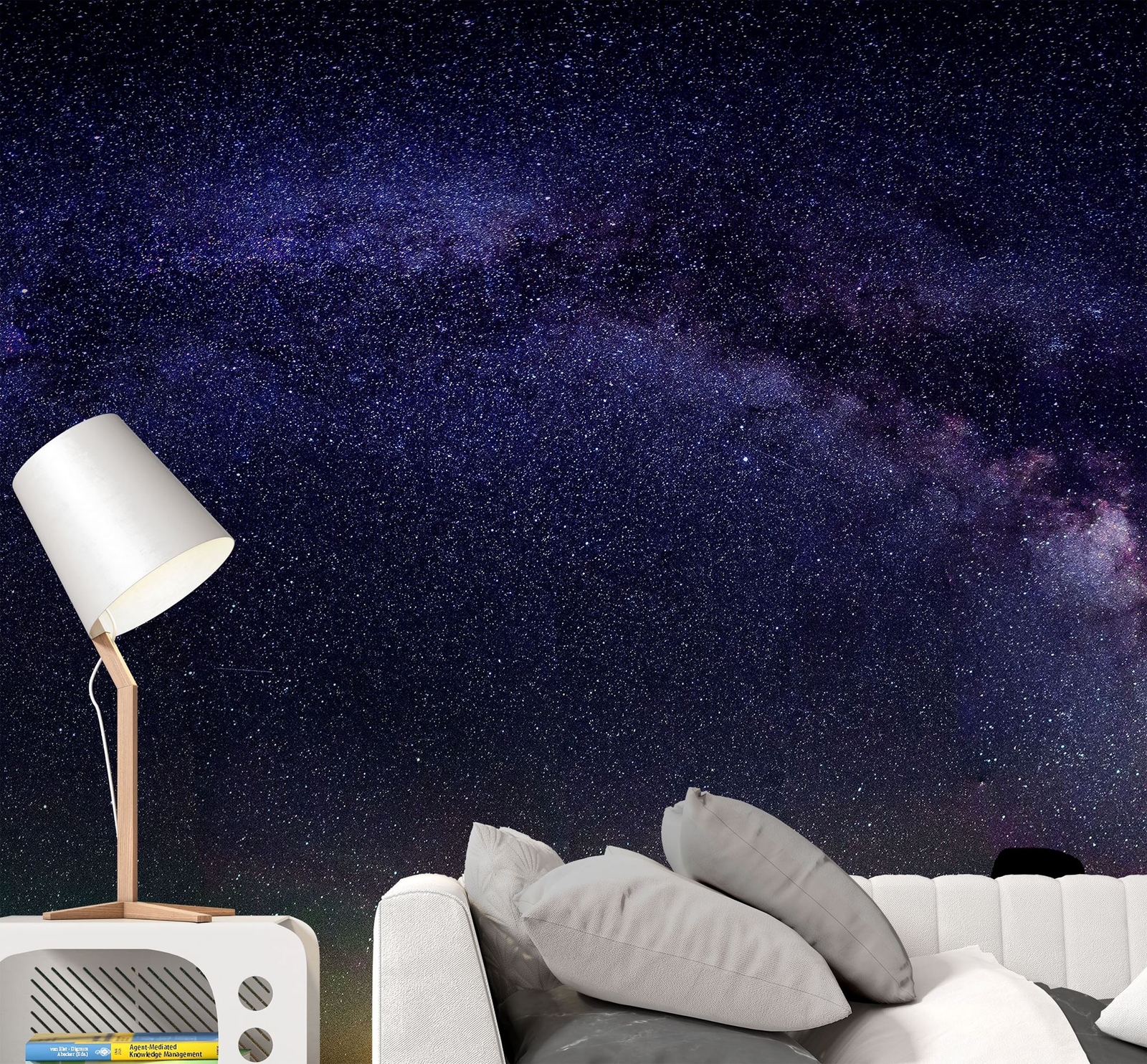 Milky Way Galaxy Stars Wall Mural. Starry Night Over Devils Tower National Monum